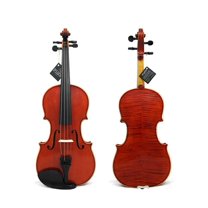 D'Luca Strauss 400 Concerto Violin 4/4 with Case, Strings and Tuner ...