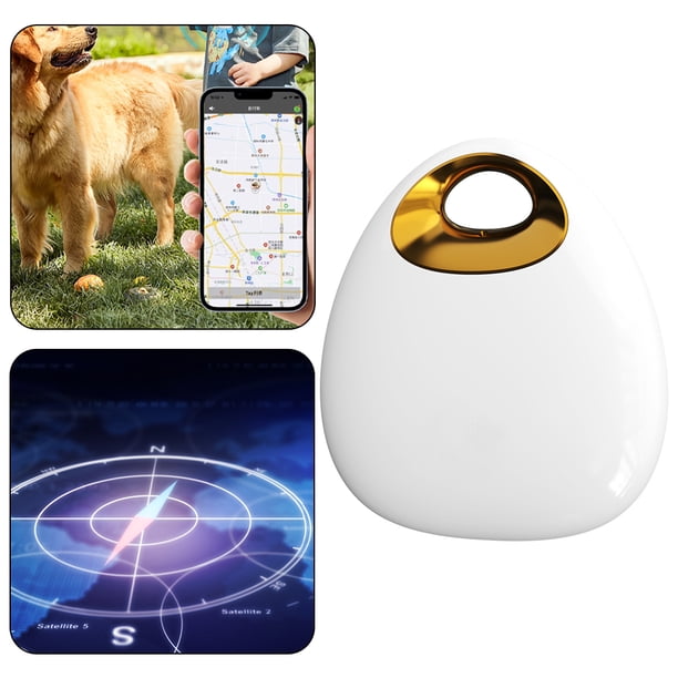Dispositivo Antipérdida Al Compatible Con Dientes para Llavero Pet Wallet Tracker Azul