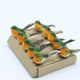 thumbnail image 3 of Nvzi 12 piezas de pájaros artificiales, pájaros falsos, loro pirata de Halloween, pájaros con plumas, figura de loro, decoración para manualidades, jungla, jardín, decoración del hogar, adorno, verde, 3 of 3