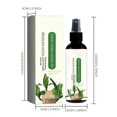 thumbnail image 3 of RAGUPEL Plant Perfection Spray for All Plants - Leaf Shine Spray for Indoor Plants & Outdoor Plant Food | Natural Plant Spray for Cleaning Off Dust & Spots,Plant Leaf Cleaner (100ml,3pcs), 3 of 4