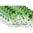 thumbnail image 1 of St. Patricks Day Placemats 12x18 Inch Set of 4 Lucky Charm Shamrocks Table mats Farmhouse Rustic Holiday Kitchen Dining Table Decoration for Indoor Outdoor Dinner Party Décor GP114-18, 1 of 5