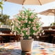 thumbnail image 1 of Qazbgdl - Planta Artificial Verde para Jardín | Decoración Primavera-Verano | 60 Cm de Altura para Patio | Incluye 1 Inserto de Plástico para El Suelo, 1 of 6