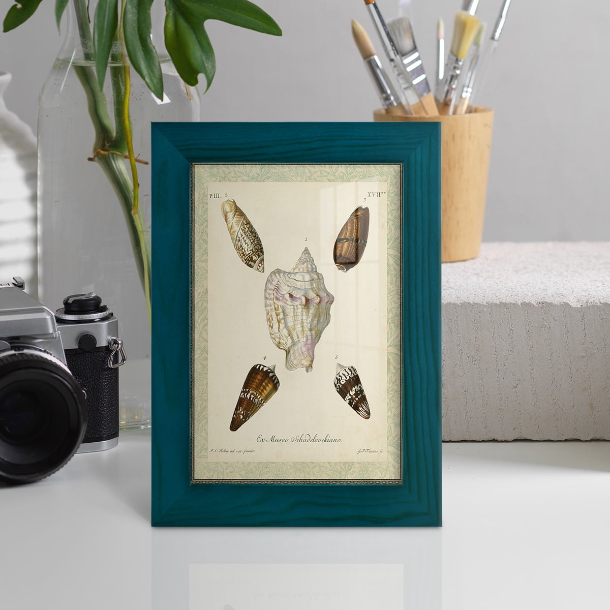 Bookplate Shells IV - Framed Print w/glass - Ocean Blue