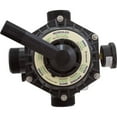 thumbnail image 3 of Pentair 262504 Top Mount Valve Fo Tagelus Black Filters, 3 of 8
