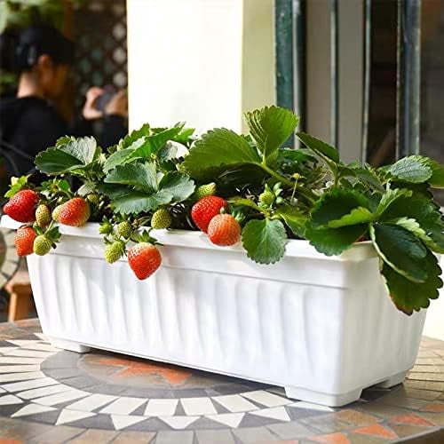 6 Packs Window Box Planter, 17 Inches Flower Window Box Rectangular Plastic Vegetable Planters with Trays for Windowsill, Patio, Garden, Balcony, Porch White