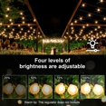 thumbnail image 4 of Cadena de luces LED G40 para exteriores SUNSGNE de 25 m con 27 bombillas, 4 of 7