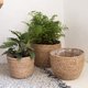 thumbnail image 3 of GOOHOCHY macetero de paja tejida para plantas, maceta de paja tejida para flores, contenedor para plantas, 3 of 8