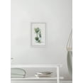 thumbnail image 4 of Marmont Hill Green Plants Shrub Framed Painting Print-Size:16" x 24", 4 of 6