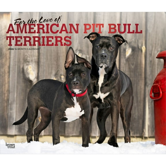 American Pit Bull Terriers | 2026 14x24" (Hanging) Wall Calendar | Plastic-Free