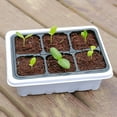 gardening seedling box greenery seeding humidity cultivation insulation tray breathable