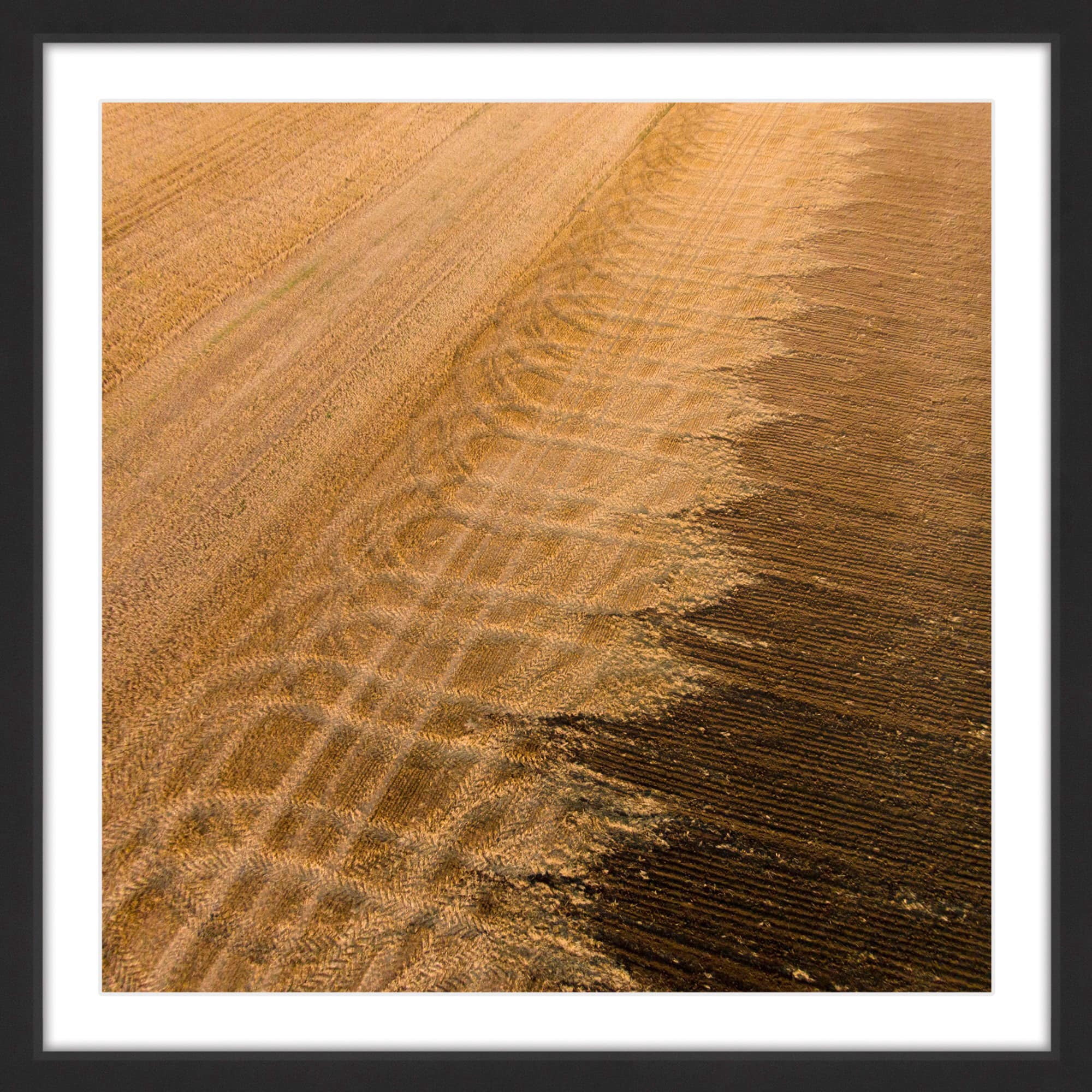 marmont hill 'wheat field' framed print
