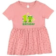 thumbnail image 3 of Inktastic 1st Birthday Princess Frog Girls Baby Dress, 3 of 5