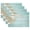 Beach Seashell, variant on Placemats Set of 4, Southwest Arizona Travertine Sandstone Non Slip Heat Resistant Linen Cloth Place Mats, Turquoise Stripes Washable Holiday Party Dining Table Mat for Farmhouse Home Kitchen Decor