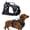 Black, variant on WAAYEEPAL Adjustable Dog Harness with Lift Handle, Soft PVC Breathable Pet Vest (XS, Black)