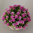 thumbnail image 3 of Plástico artificial Gypsophila Flor Planta en Púrpura Gloria Flor en maceta de Gypsophila falsa, 3 of 9