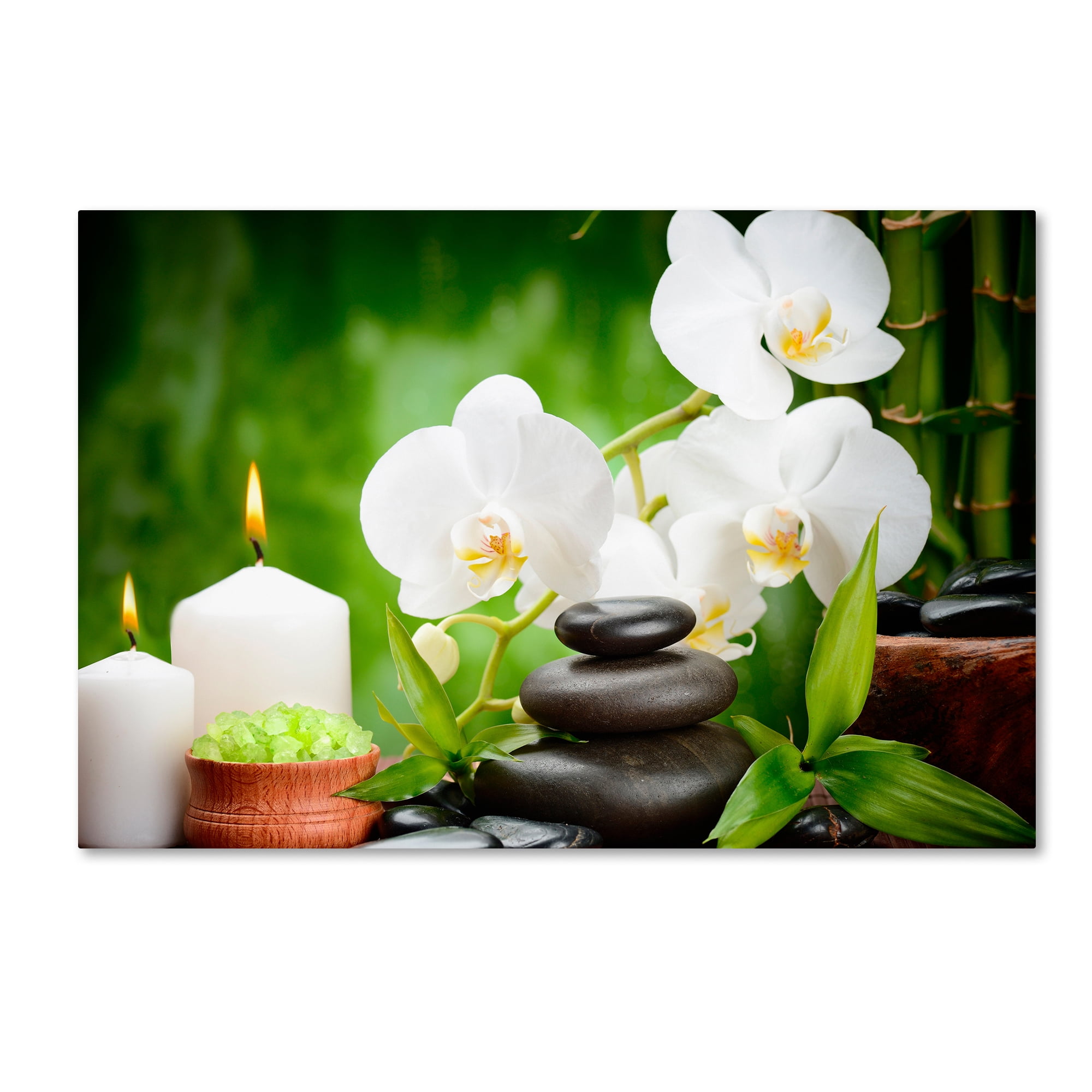 Trademark Fine Art 'Spa' Canvas Art by Mark Ashkenazi