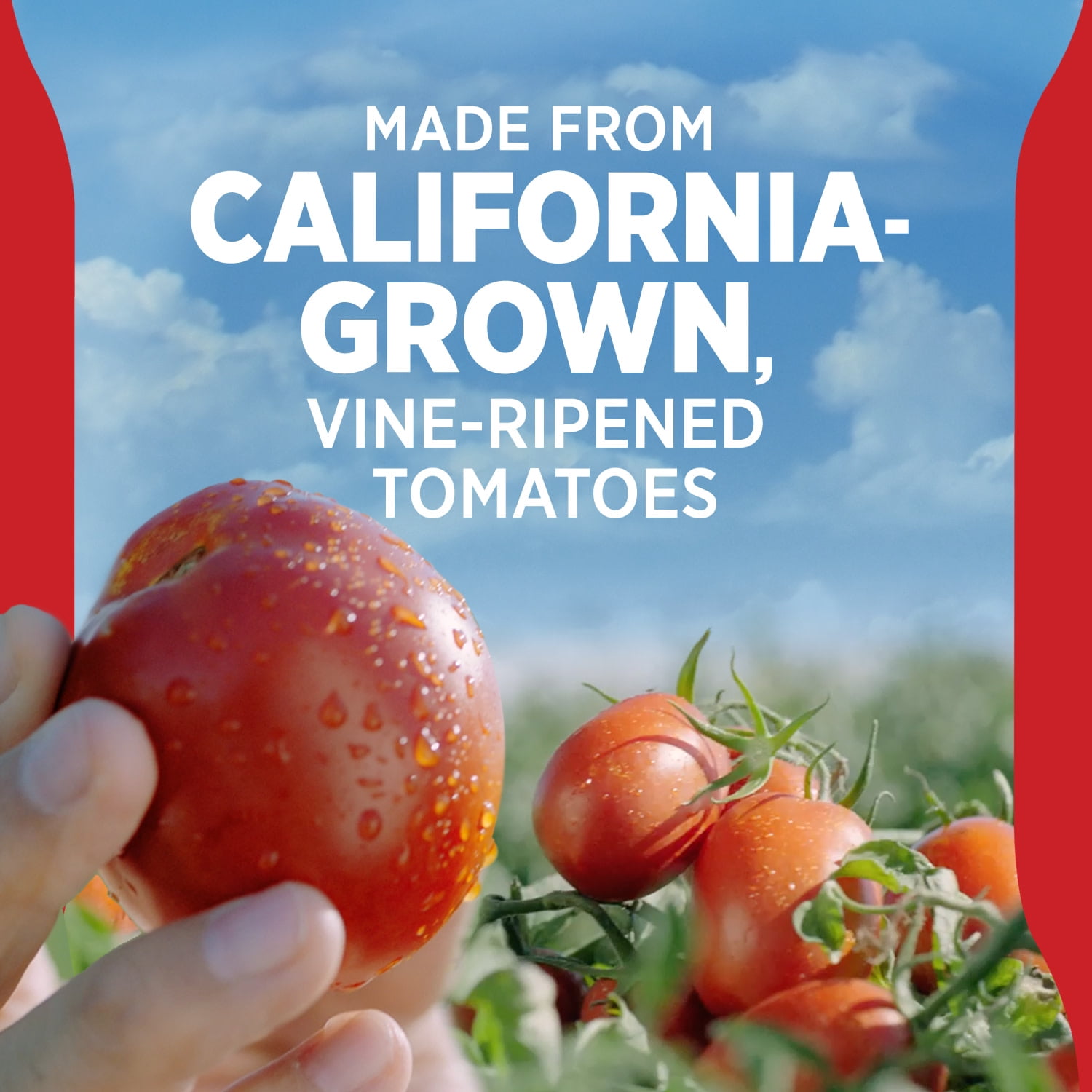 (12 pack) Hunt’s 100% Natural Tomato Ketchup, No High Fructose Corn Syrup, 14 oz. Squeeze Bottle