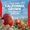 thumbnail image 4 of Hunt’s 100% Natural Tomato Ketchup, No High Fructose Corn Syrup, 14 oz. Squeeze Bottle, 4 of 9