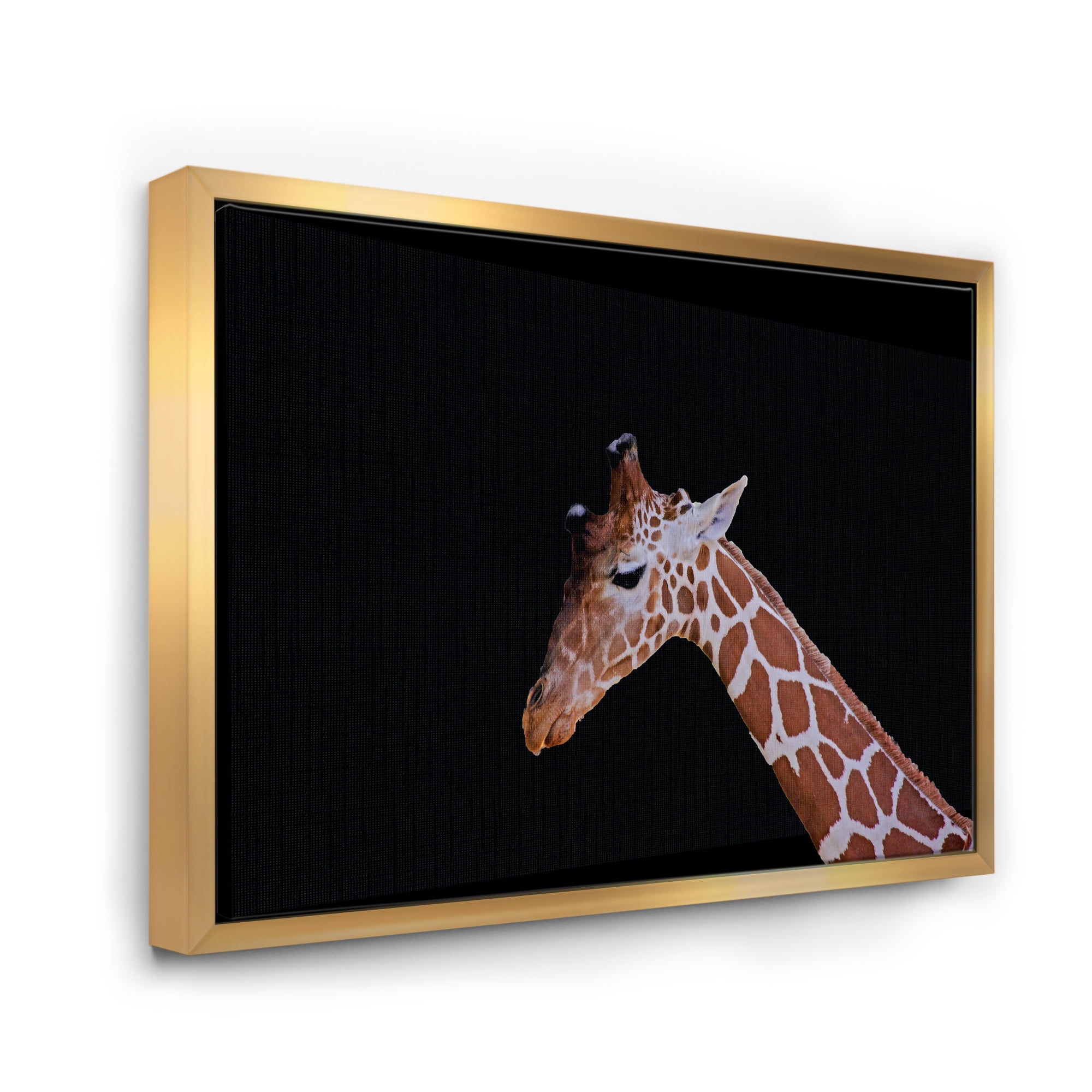 Designart 'Portrait of A Giraffe On Black Background I' Farmhouse Framed Canvas Wall Art Print