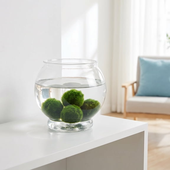 Toyandona Clear Plastic Desktop Fish Bowl, Small Aquarium with Landscape Vase for Betta Fish, Home Office Table Decor