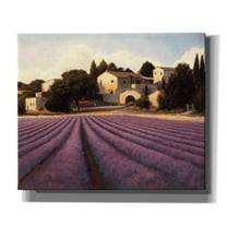 Epic Graffiti 'Lavender Fields I' by James Wiens, Canvas Wall Art, 24"x20"