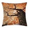 thumbnail image 1 of Forest Home Decor Throw Pillow Cushion Cover, Body of Old Tree Seedling Botany Woodsy Roots Falling Maple Leaf Design, Decorative Square Accent Pillow Case, 24 X 24 Inches, Orange Brown, by Ambesonne, 1 of 2