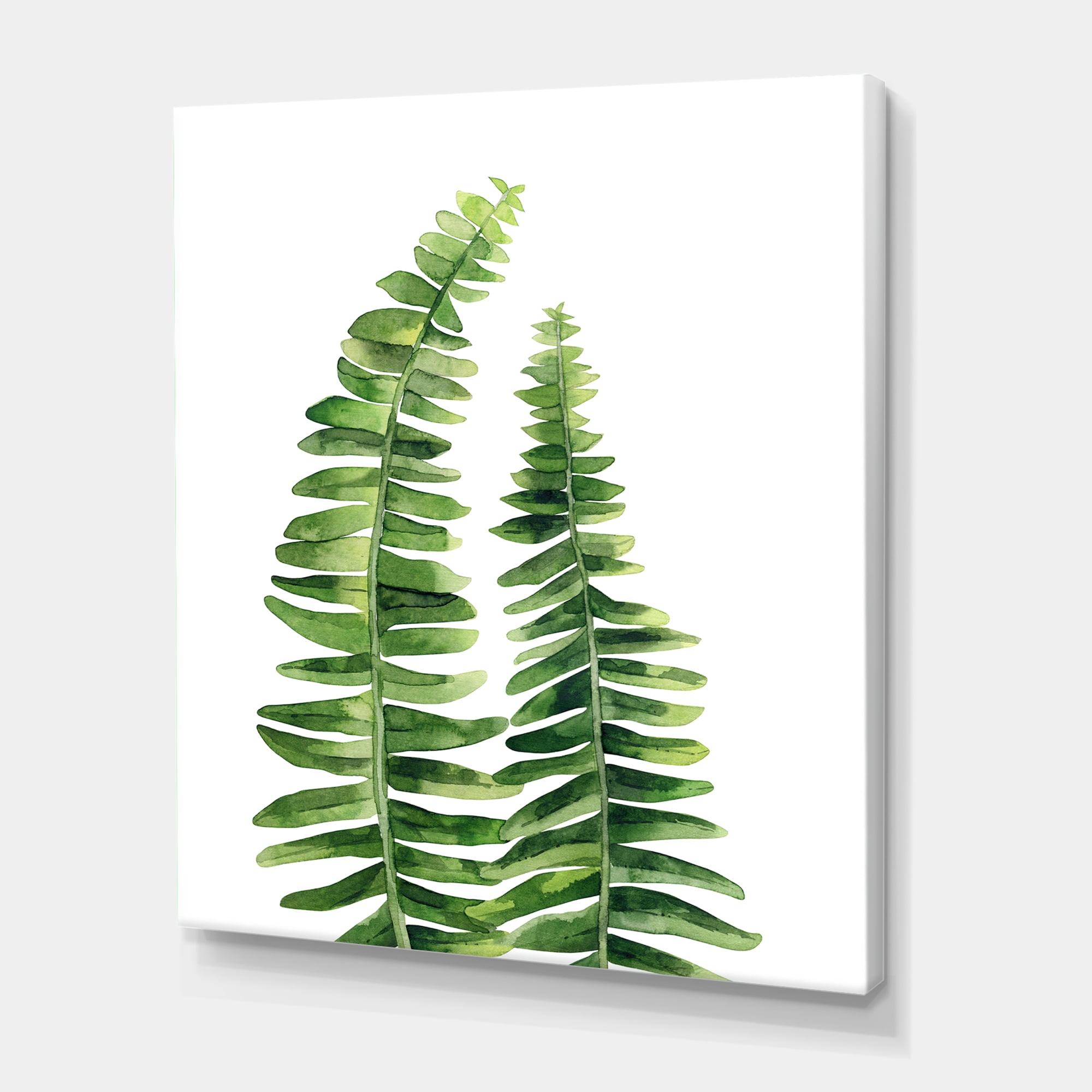 Designart ' Fern Plant Leaves Detail IV ' Farmhouse Canvas Wall Art Print