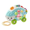 Fisher-Price GHR16 Linkimals Happy Shapes Hedgehog, Interactive Baby Toy with Lights and Sounds
