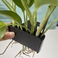 thumbnail image 6 of Aquarium Plant Holder, Upgraded Open Face Emerging Plant Holder, Hanging Aquatic Plant Pot for Fish Tank, Hydroponic Plant Rack for Aquarium Decor(Long Hook), 6 of 8