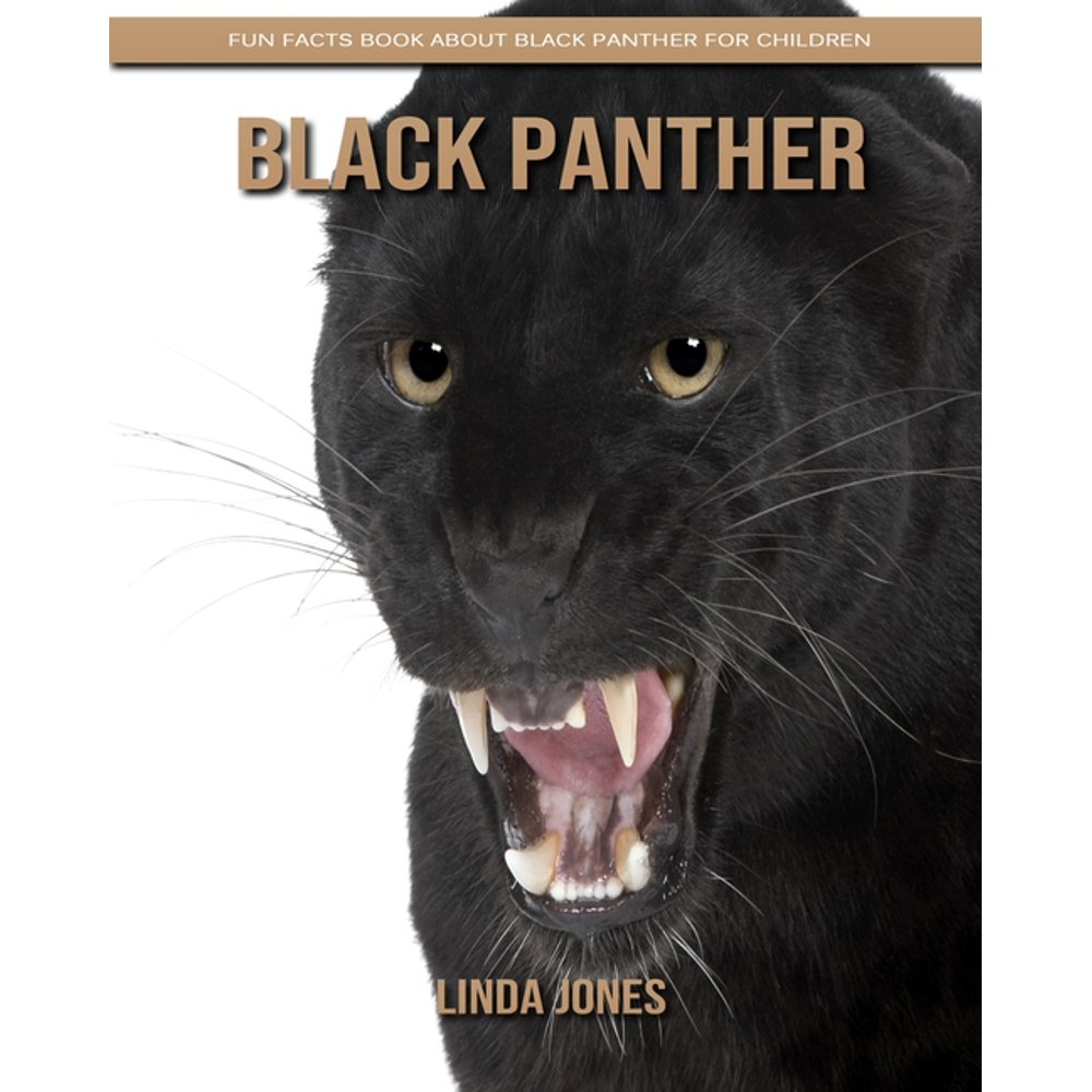 Black Panther Fun Facts Book about Black Panther for Children (Paperback)