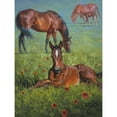 thumbnail image 3 of Sorenson, Jack 12x14 Black Modern Framed Museum Art Print Titled - Indian Blanket, 3 of 5