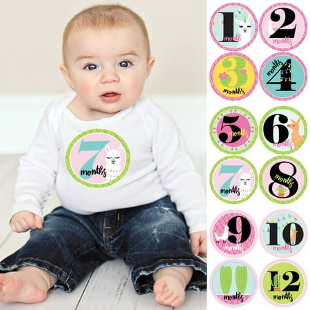 Baby Girl Monthly Sticker Set - Whole Llama Fun - Baby Shower Gift Ideas - 12 Piece