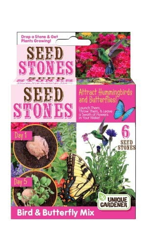 $8.00-QUICK & EASY BUTTERFLY GARDEN KIT Fast Growing Seeds Blooms Spring to Fall 