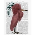 thumbnail image 3 of Fab Funky 15x18 Black Modern Framed Museum Art Print Titled - Crested Marsala Bird, 3 of 5