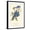 Black Frame, variant on Art.com Audubon Blue Jays Art Print by John James Audubon, White Frame Wall Art, 21" x 29"