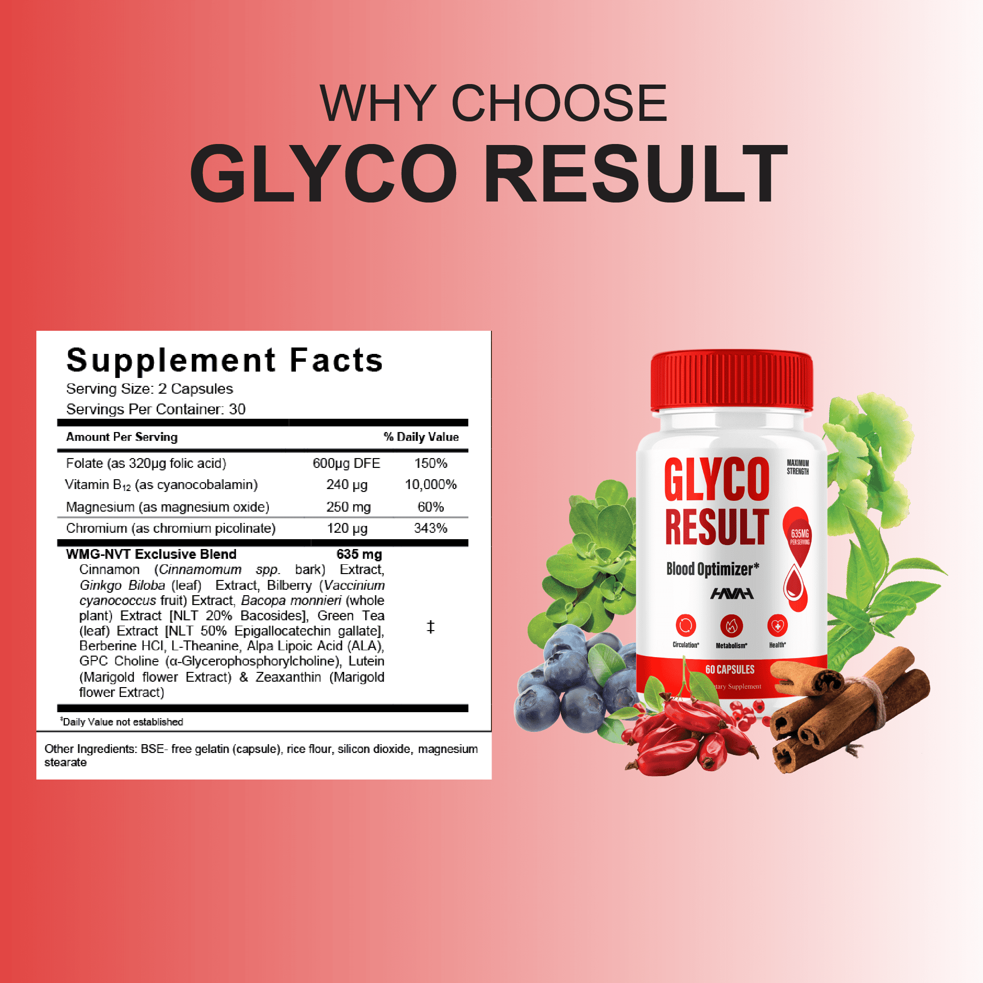 (2 Pack) Glyco Result Blood Optimizer, Glyco Result Supplement (120 Capsules)