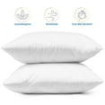 thumbnail image 2 of Empyrean Bedding  Throw Pillow Insert - Cotton Blend Outer Shell Decorative Pillows (Pack of 2) 22" x 22", 2 of 6