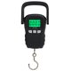 thumbnail image 1 of Báscula colgante digital JAAS 50kg Grillete de acero inoxidable resistente al agua Gancho S, 1 of 5