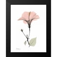 thumbnail image 2 of Koetsier, Albert 12x14 Black Modern Framed Museum Art Print Titled - Pink Hibiscus, 2 of 5