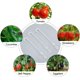 thumbnail image 5 of juego de 100 ganchos en forma de J para tomates y verduras – 9,5 cm, 5 of 5