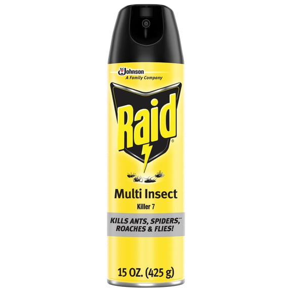 Raid Defense System Indoor and Outdoor Ants, Roaches, Spiders and Flies Insect Killer Bug Spray, 15 oz
