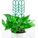 thumbnail image 4 of Bewildely ABS Soporte de plantas resistente y confiable para una escalada de plantas eficiente y saludable Accesorios de plantas duraderos Fácil Jardín y Patio solo10*34.5 cm 32g, 4 of 6