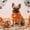 Orange B, variant on LACKUST Halloween Dog Bandana & Cat Bandana, Adjustable Tie-On Pet Scarf for Dogs and Cats, Boo Ghost Pumpkin Candy Corn Print, Black, Halloween Costume Accessory