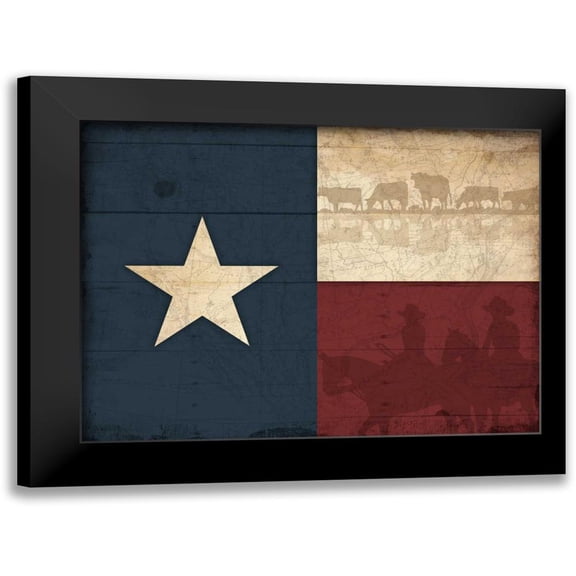 Grey, Jace 14x12 Black Modern Framed Museum Art Print Titled - Texas Flag