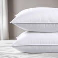 thumbnail image 1 of Juego de 2 unidades Pillows Viewstar, tamaño queen, firma alternativa, 1 of 9