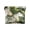 Beautiful Lilies Flower and Leaf, variant on Leather Coin Purse Pouch No Zipper Small Eagle Fly in Sky Makeup Bag for Women Men Cosmetics Jewelry 4.3x3.7 inch