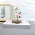 thumbnail image 1 of POINTERTECK Romantique Immortel Fleur Micro Paysage Rose Simulation Verre Ombre Led Llight, 1 of 3