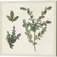 thumbnail image 3 of Great Art Now Victorian Garden Chart by Wild Apple Portfolio 2 Piece Canvas Art Set Each 14"W x 14H, 3 of 3