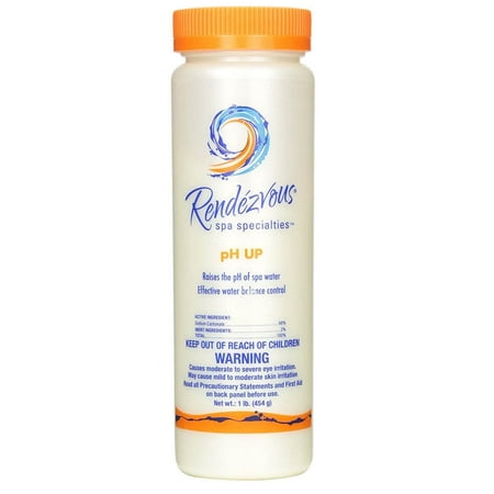 UPC 785336066950 product image for Rendezvous Spa Specialties pH Up Swimming Pool Testing Water Balancer, 1 Pound | upcitemdb.com