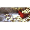 thumbnail image 2 of Plaque d'Immatriculation Cardinal Bird Airbrush, 2 of 2